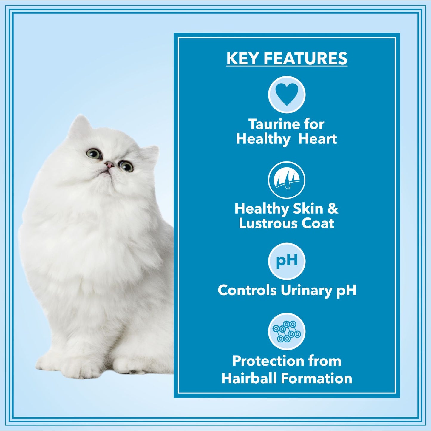 Let's Bite Active Persian Ocean Fish Dry Cat Food – 800 g (400 g × 2)