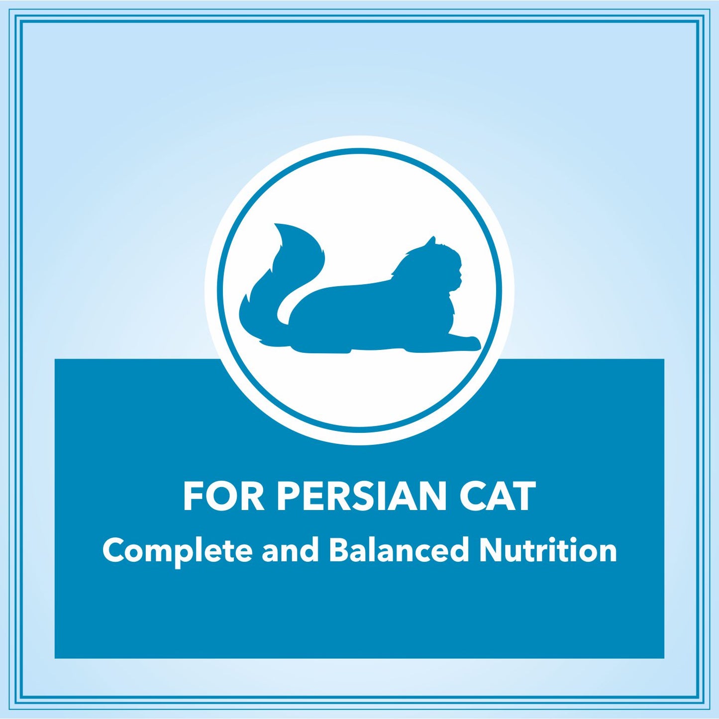 Let's Bite Active Persian Ocean Fish Dry Cat Food – 800 g (400 g × 2)