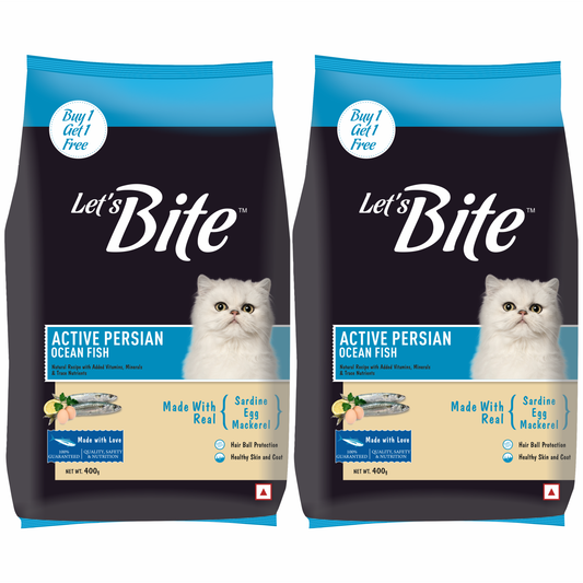 Let's Bite Active Persian Ocean Fish Dry Cat Food – 800 g (400 g × 2)
