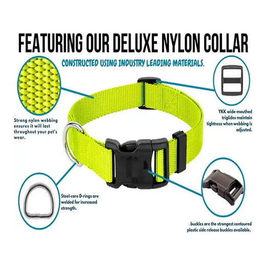 Adjustable Soft Nylon S/M Puppy/Dog Collar with Buckle