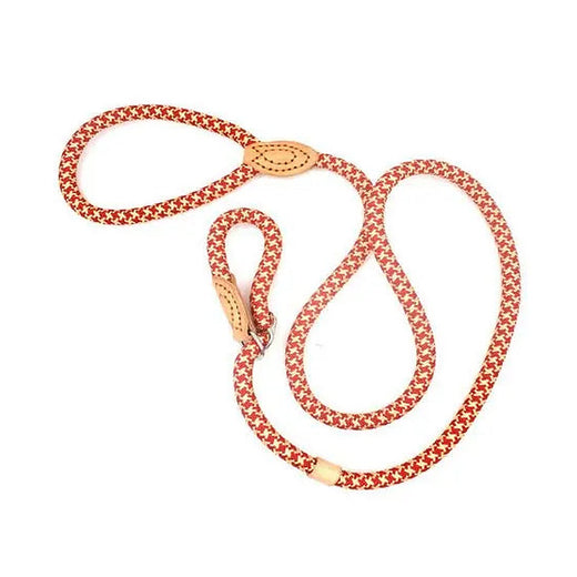 Small/Medium Dog Leash Slip Rope/Choker