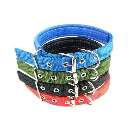 Small/Medium Dog Collar