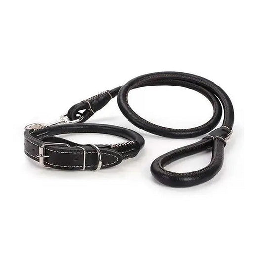 Medium/Large Dog Leather Collar & Leash