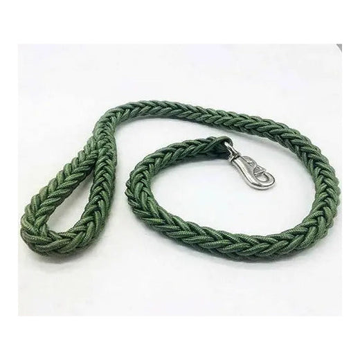 Green Heavy-Duty Twisted Rope Dog Leash