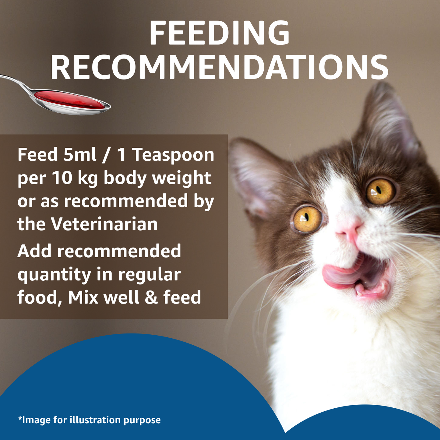 Drools Absolute Salmon Oil Syrup for Cats – 150 ml
