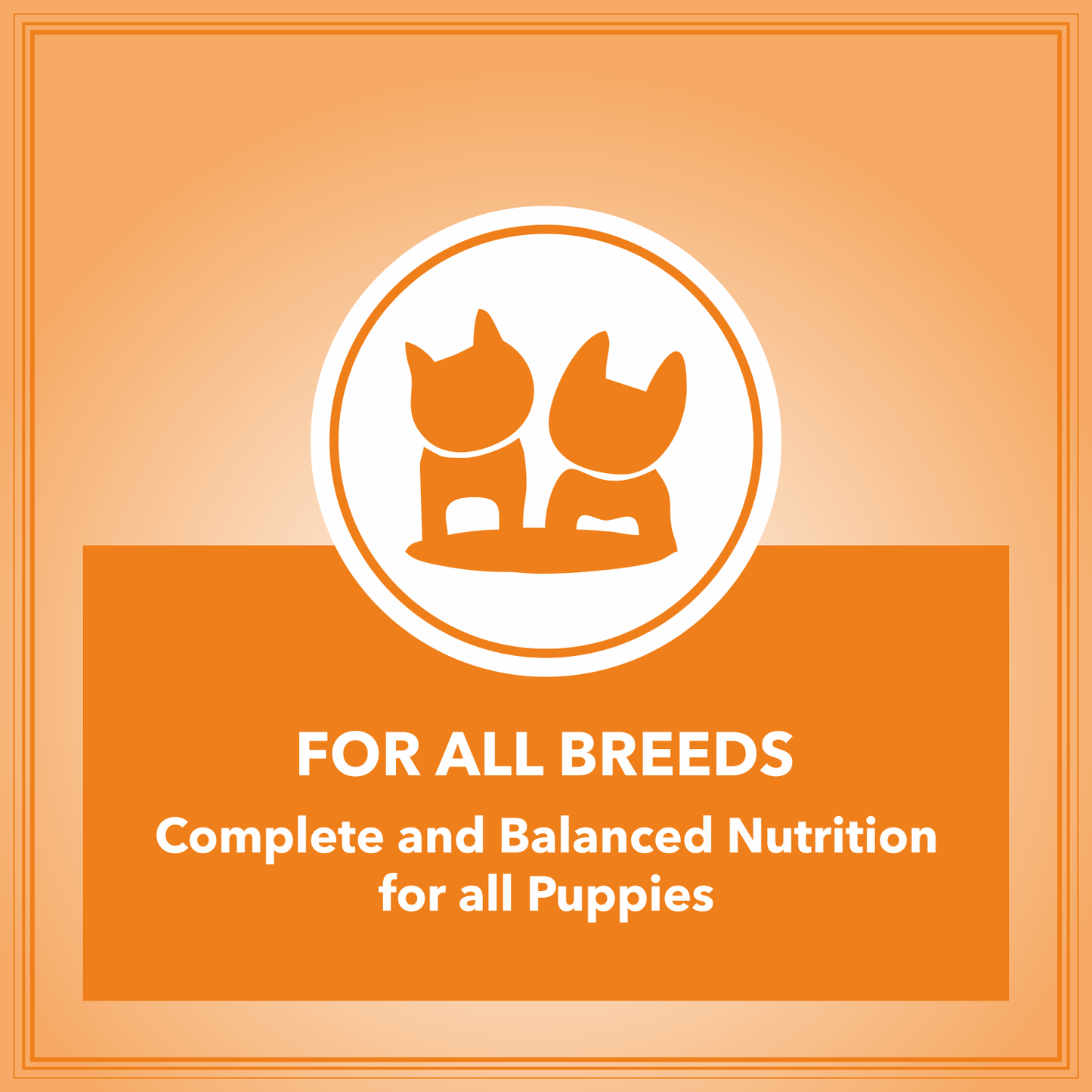 Let's Bite Active Puppy Dog Food – 10kg