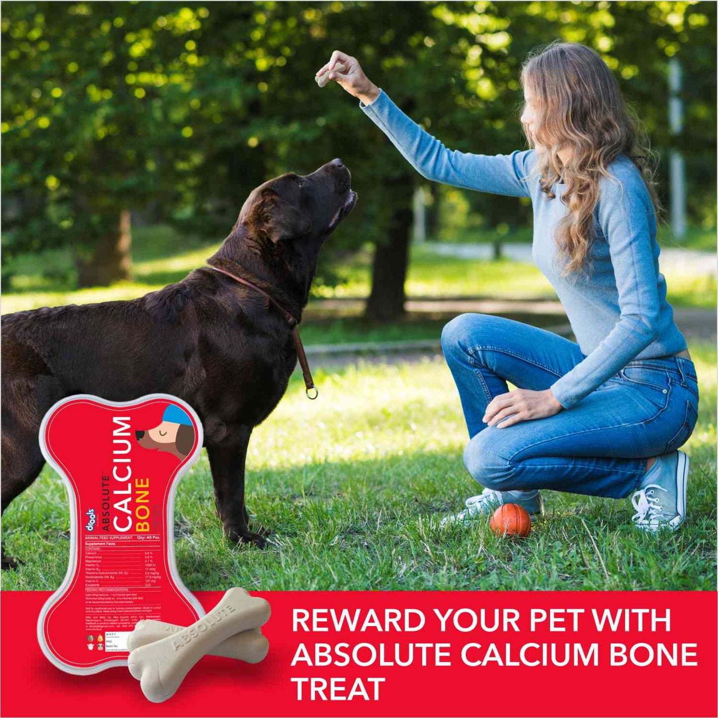 Drools Absolute Calcium Bone Jar – 20 Pieces (300 g)