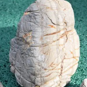 Elephant Skin Stones