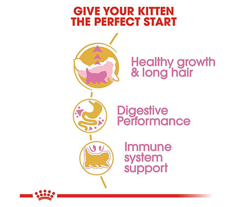 Royal Canin Dry Cat Food 10Kg - Persian Kitten