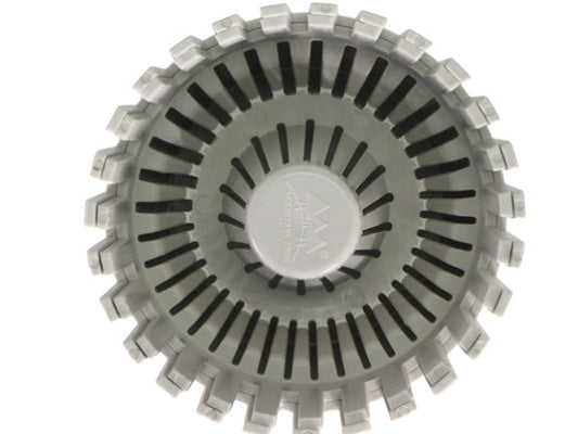 Mountain Tree Skimmer