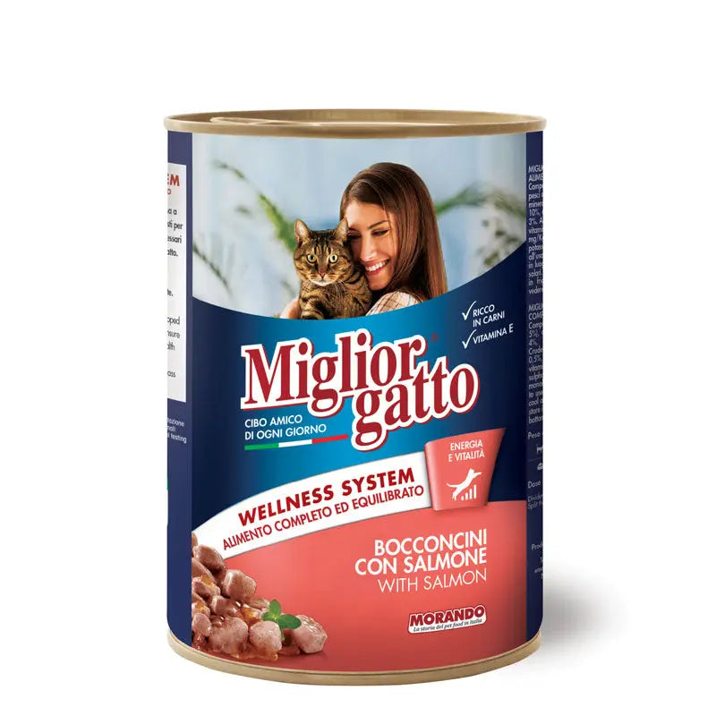 Migliorgatto Chunks with Salmon – 405 g pack front