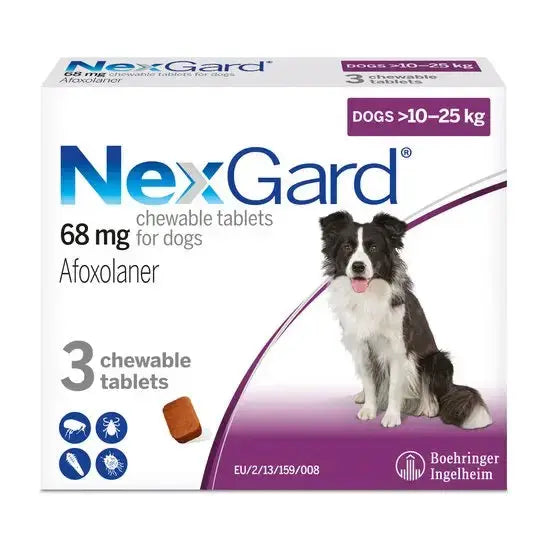 NexGard Chew for Large Dogs 10–25 kg (3 Chews) pack front