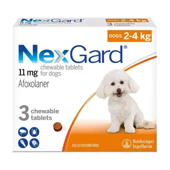 NexGard Flea & Tick Treatment for Small Dogs – 3 Chews (2–4 kg)