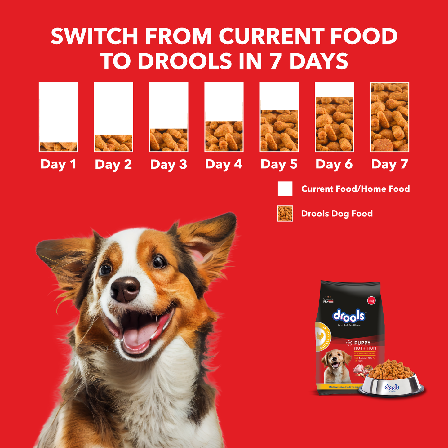 Drools Chicken and Egg Puppy Dry Dog Food – 10kg