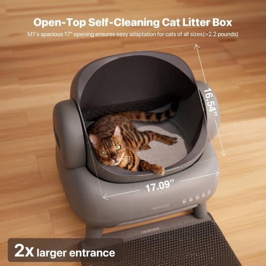 Neakasa M1 Open-Top Self-Cleaning Cat Litter Box (Gray)