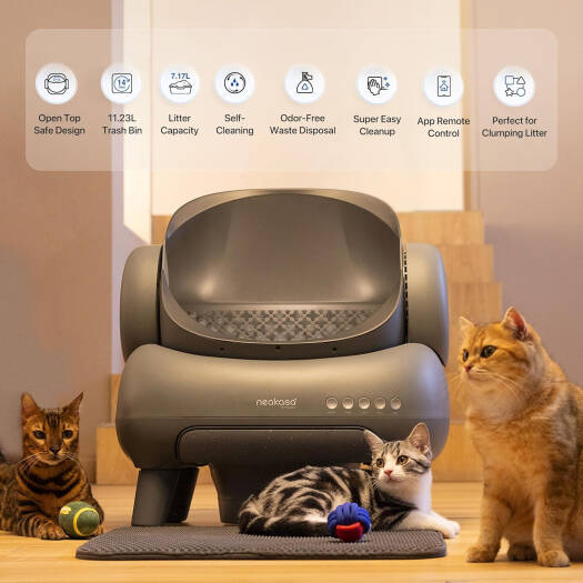 Neakasa M1 Open-Top Self-Cleaning Cat Litter Box (Gray)
