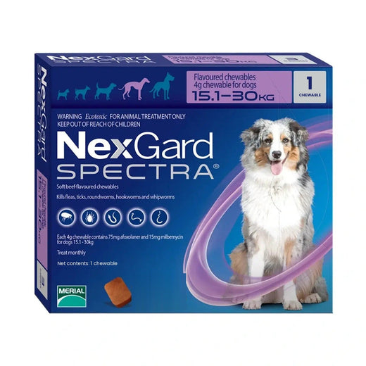 NexGard Spectra Large Dogs 15-30 kg (1 Chew) pack front