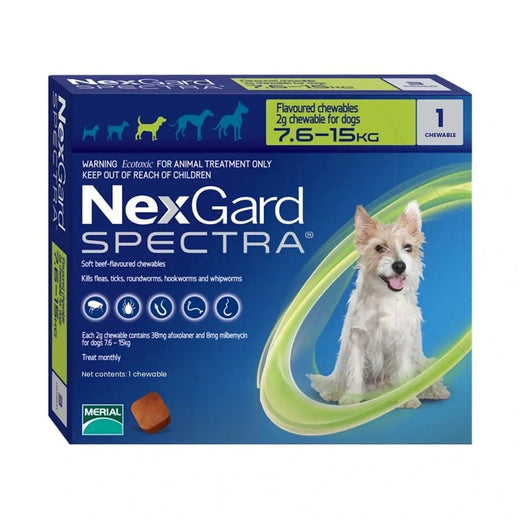 NexGard Spectra Medium Dogs 7.5-15 kg (1 Chew) pack front