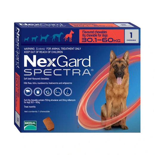 NexGard Spectra Extra Large Dogs 30-60 kg (1 Chew) pack front