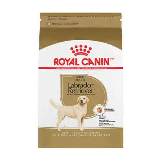 Royal Canin Dry Food 12Kg - Adult Labrador pack front on white background