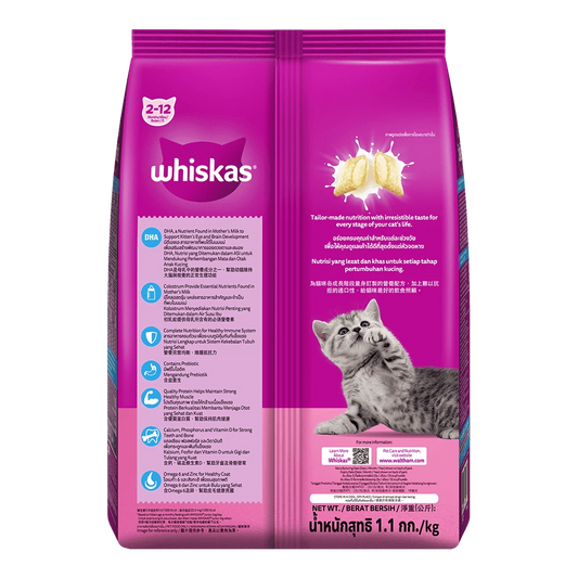 WHISKAS® Junior Ocean Fish Dry Food – 450 g pack front