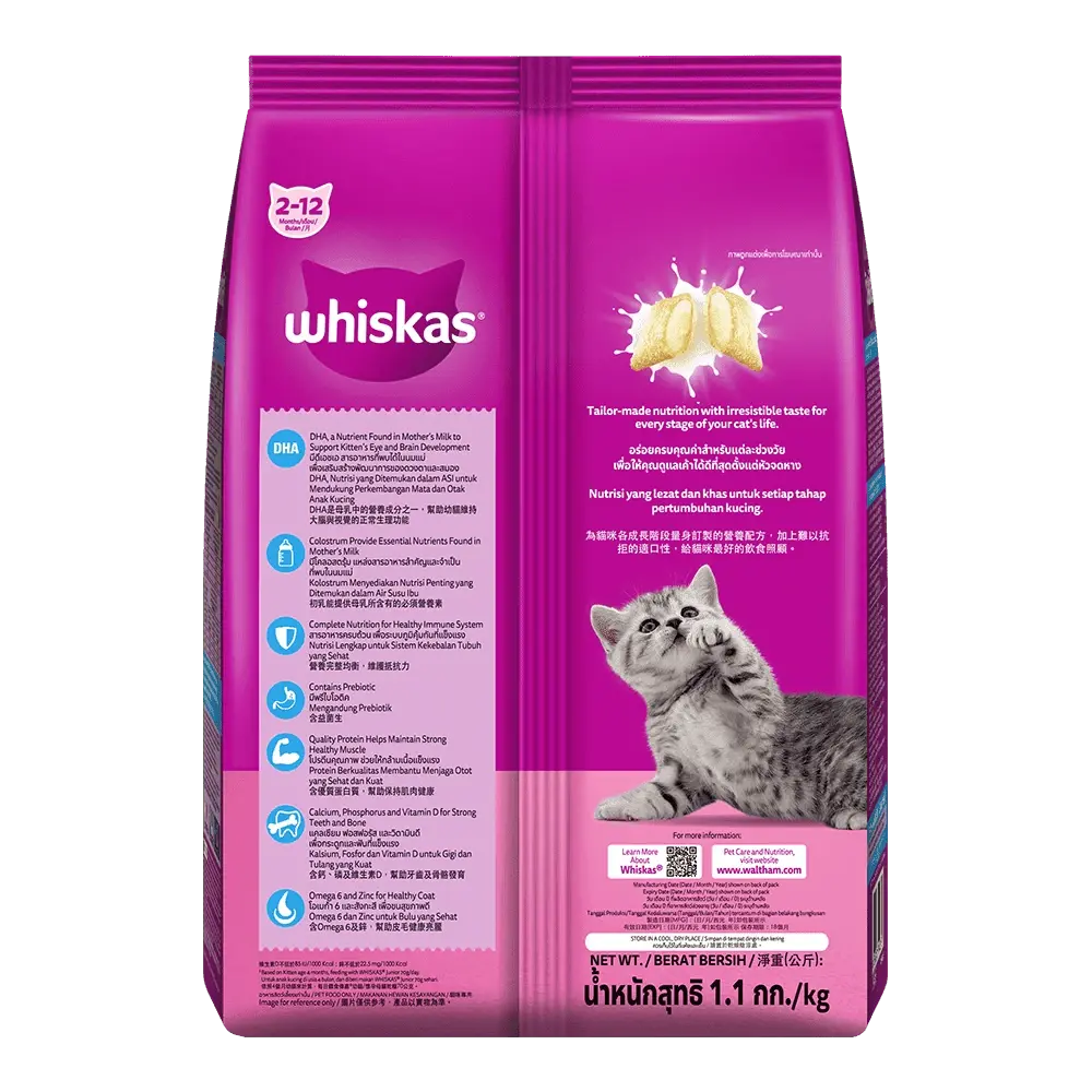 WHISKAS® Junior Ocean Fish Dry Food – 450 g pack front