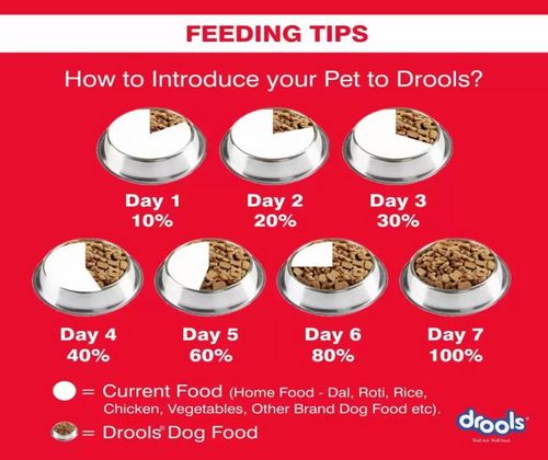 Drools Dog Food 12Kg Puppy Large Breed MYPETS.LK