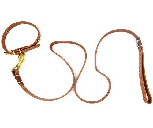 Small Pet Leather Collar & Leash