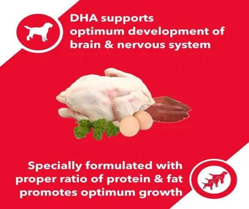 Drools Puppy Dog Food Chicken and Egg 3Kg pack front