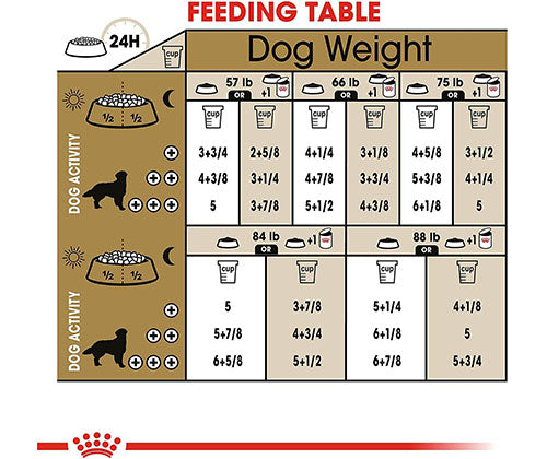 Royal Canin product photo