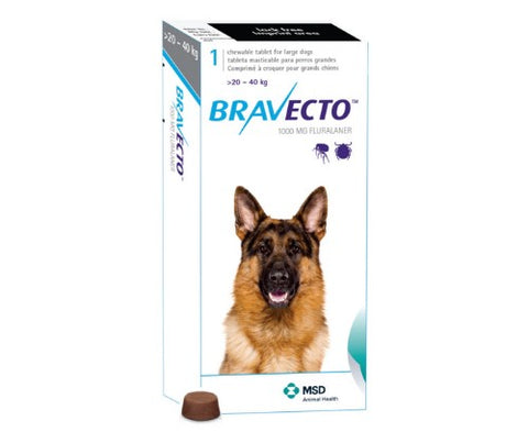Bravecto 1000mg 1 Tablet