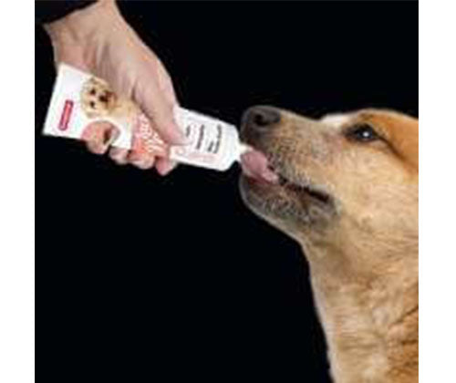 Beaphar Salmon Oil Paste - Dog - 100G pack front