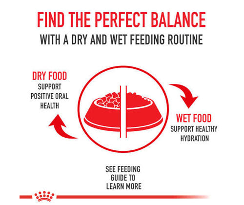 Royal Canin Dry Food 3Kg - Adult Bulldog