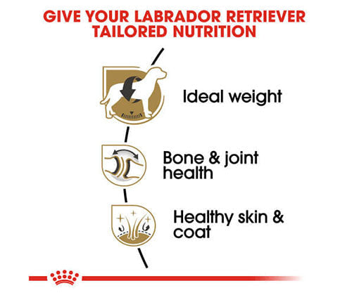 Royal Canin Dry Food 12Kg - Adult Labrador