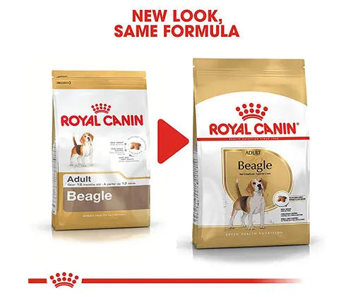 Royal Canin Dry Food 3Kg - Adult Beagle