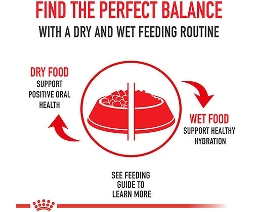 Royal Canin product photo