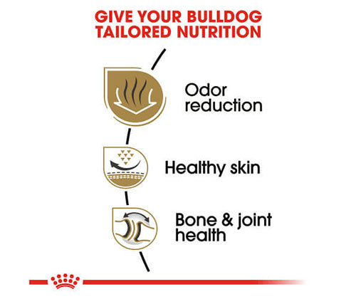 Royal Canin Dry Food 3Kg - Adult Bulldog