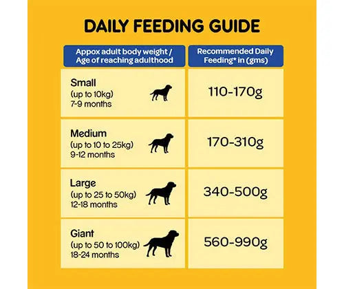 PEDIGREE® Adult Chicken, Rice and Vegetable Dry Food – 1 kg pack front