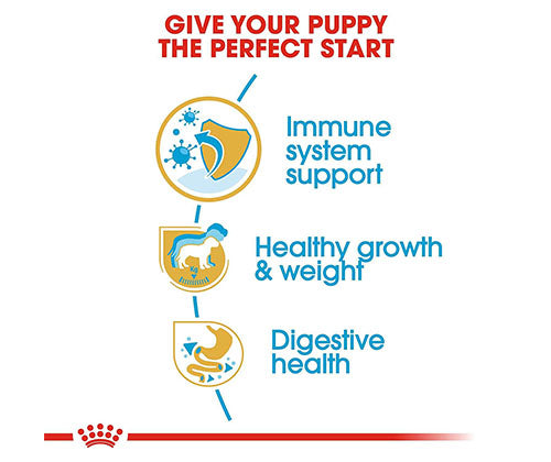 Royal Canin product photo
