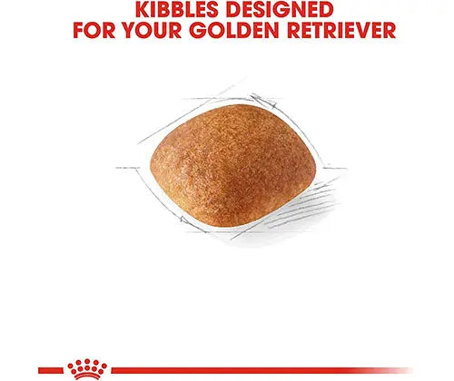 Royal Canin Dry Food 3Kg - Adult Golden Retriever