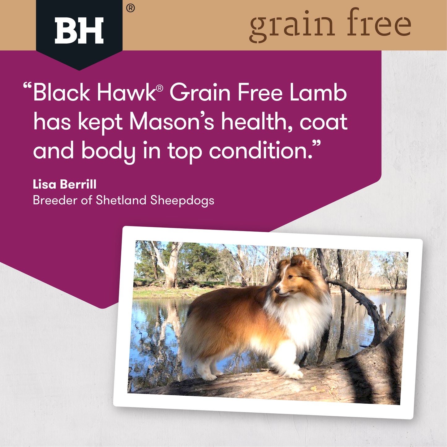 Black Hawk Adult Grain Free Lamb 7Kg product photo