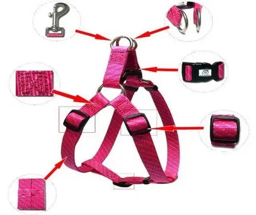 Large Dog Red Harness with Leash