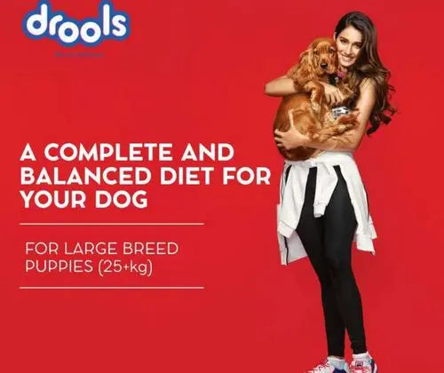 Drools Adult Dog Food Chicken and Egg 400g