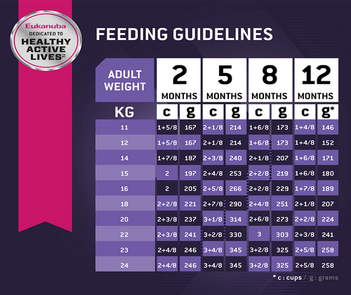 Eukanuba Puppy Medium Breed 1Kg pack front