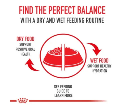 Royal Canin product photo