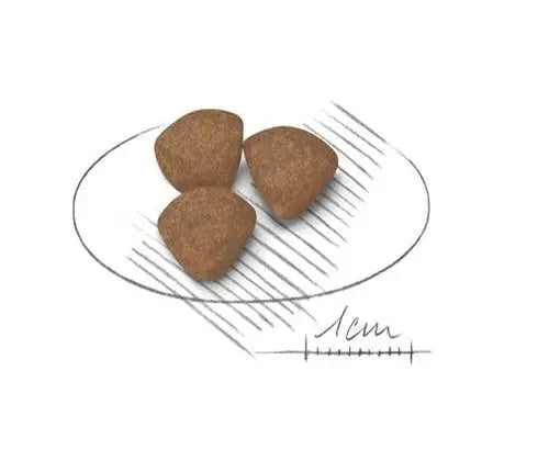 Royal Canin Mini 2Kg - Puppy (Small Breed)