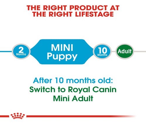 Royal Canin Mini 2Kg - Puppy (Small Breed)