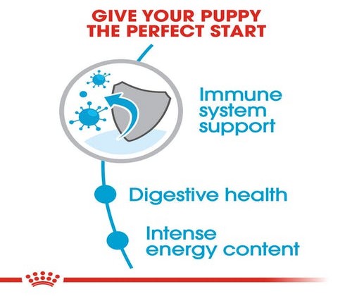 Royal Canin Mini 2Kg - Puppy (Small Breed)