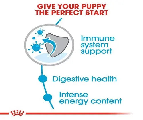 Royal Canin Mini 2Kg - Puppy (Small Breed)