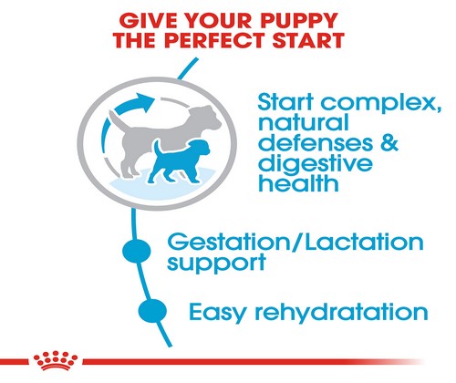 Royal Canin Mini Starter 1Kg - Mother And Puppy